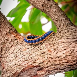 Bracelet Femme Sloya Lapis-lazuli et cuir