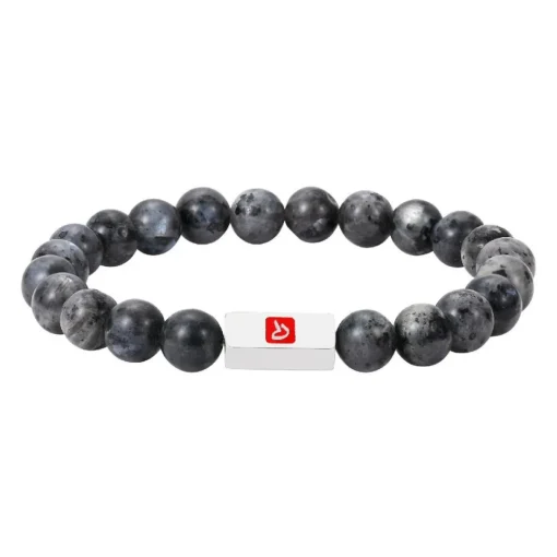 Bracelet Homme Redskins Bijoux Larkivite - 285707 Pierre GRIS