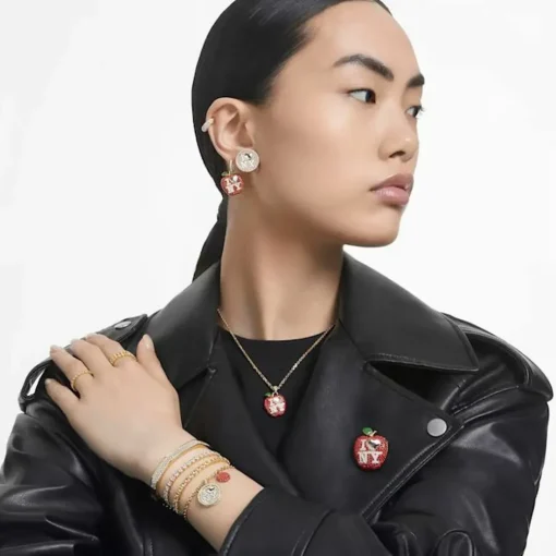 Bracelet Homme Swarovski 5656844 - DEXTERA