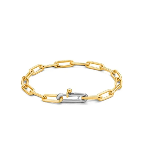 Bracelet Ti Sento Bijoux 2936SY -