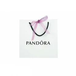Charm Ajouré Astral Pandora Passions