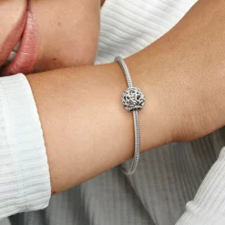 Charm Argent Parsemé de Cœurs Pandora Moments