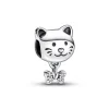 Charm chat et nœud scintillant