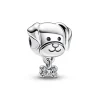 Charm Chien et Os