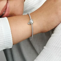 Charm Chien et Os