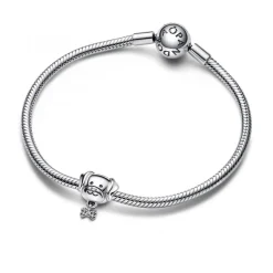 Charm Chien et Os