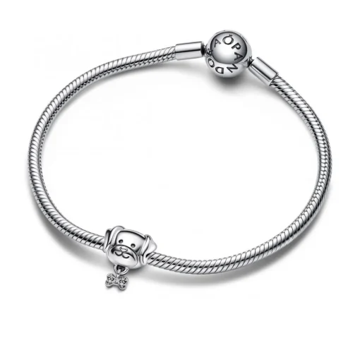 Charm Chien et Os