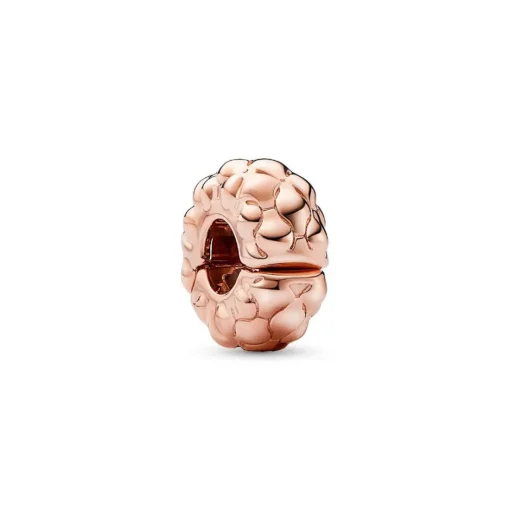 Charm Clip Clouté Fin