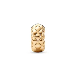 Charm Clip Clouté Fin