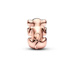 Charm Disney Le Roi Lion Nala