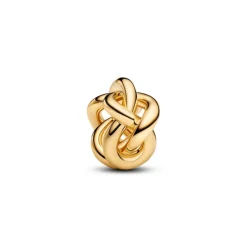 Charm Nœud de l'Infini