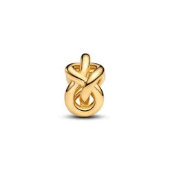 Charm Nœud de l'Infini