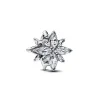 Charm Étoile Polaire Scintillante
