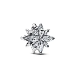 Charm Étoile Polaire Scintillante