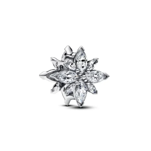 Charm Étoile Polaire Scintillante