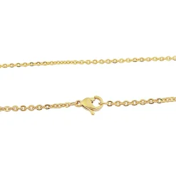 Collier et pendentif Femme Edforce 165-0155-S - Acier Doré