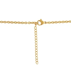 Collier et pendentif Femme Edforce 376-0011-S - Acier Doré