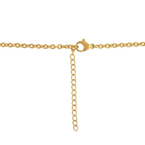 Collier et pendentif Femme Edforce 376-0011-S - Acier Doré