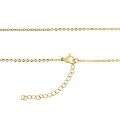 Collier et pendentif Femme Edforce 541-0045-N - Acier Doré