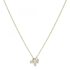 Collier femme Fossil Bijoux DREW - JF03809710 Acier Doré