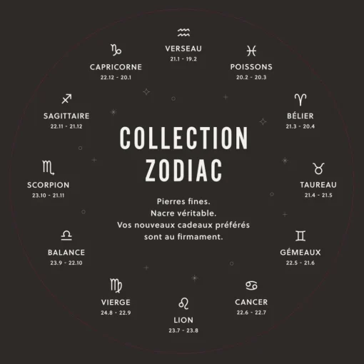 Collier Femme Fossil Bijoux Signes du Zodiaque Capricorne - JF04847710 Acier inoxydable
