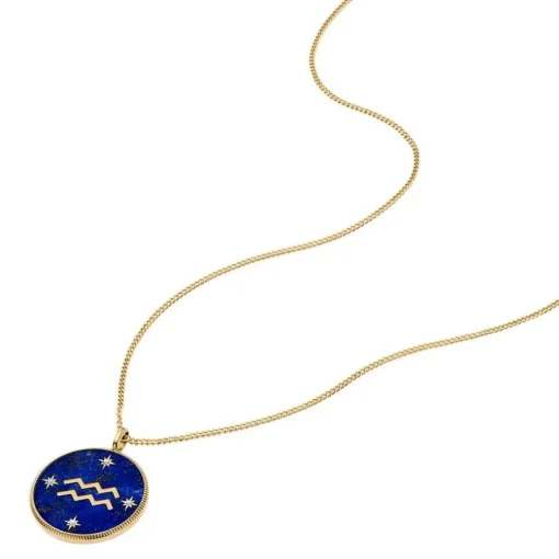 Collier Femme Fossil Bijoux Signes du Zodiaque Verseau - JF04849710 Acier inoxydable