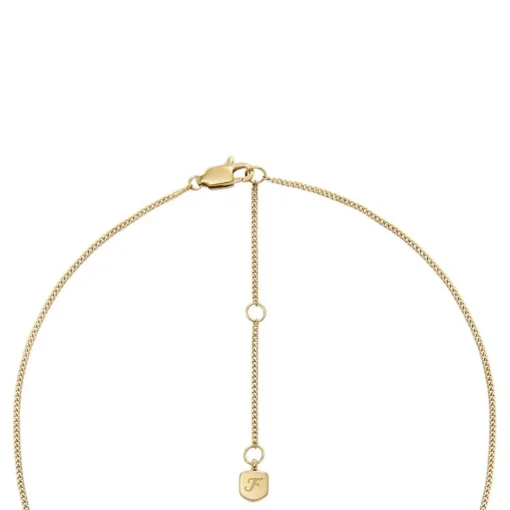 Collier Femme Fossil Bijoux Signes du Zodiaque Verseau - JF04849710 Acier inoxydable