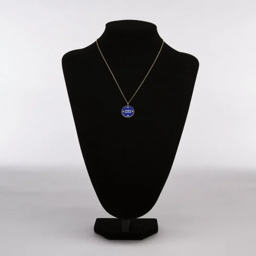 Collier Femme Fossil Bijoux Signes du Zodiaque Verseau - JF04849710 Acier inoxydable