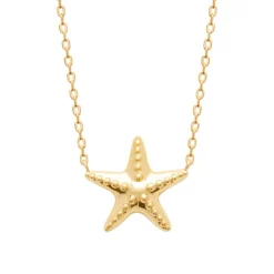 Collier femme pendentif étoile plaqué or Maison de la Bijouterie UYY0Z445