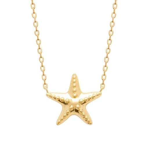 Collier femme pendentif étoile plaqué or Maison de la Bijouterie UYY0Z445