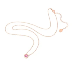 Collier Femme Swarovski 5620551