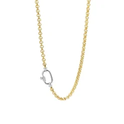 Collier Femme Ti Sento 3958ZY-48 - Argent, plaqué or