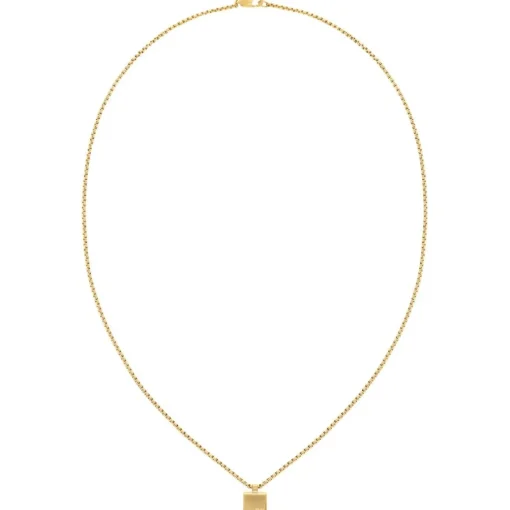 Collier Homme Calvin Klein Bijoux - 35000487 Acier doré