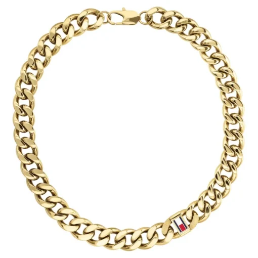 Collier Homme Tommy Hilfiger Wild - 2790636 Acier Doré